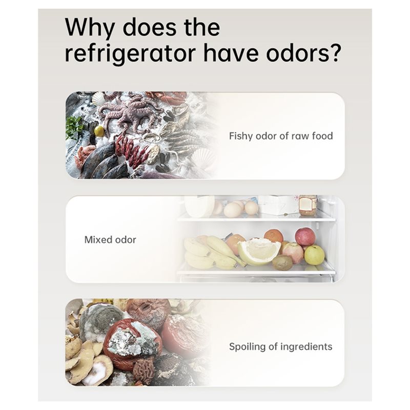Kitchen Gadgets Of 2025 - Désodorisant Réfrigérateur 2025 – Éliminateur d'Odeurs