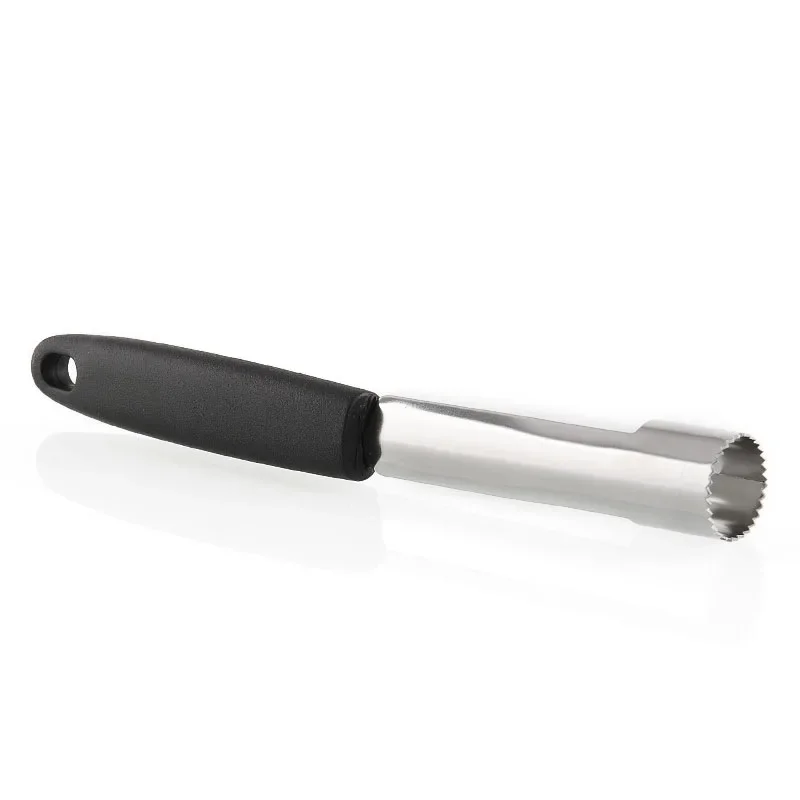 Corer de pomme en acier inoxyd - Apple Corer Slicer avis et prix