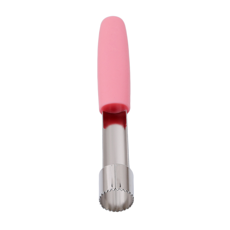 Éplucheur de fruits en acier i - Apple Corer Slicer avis et prix